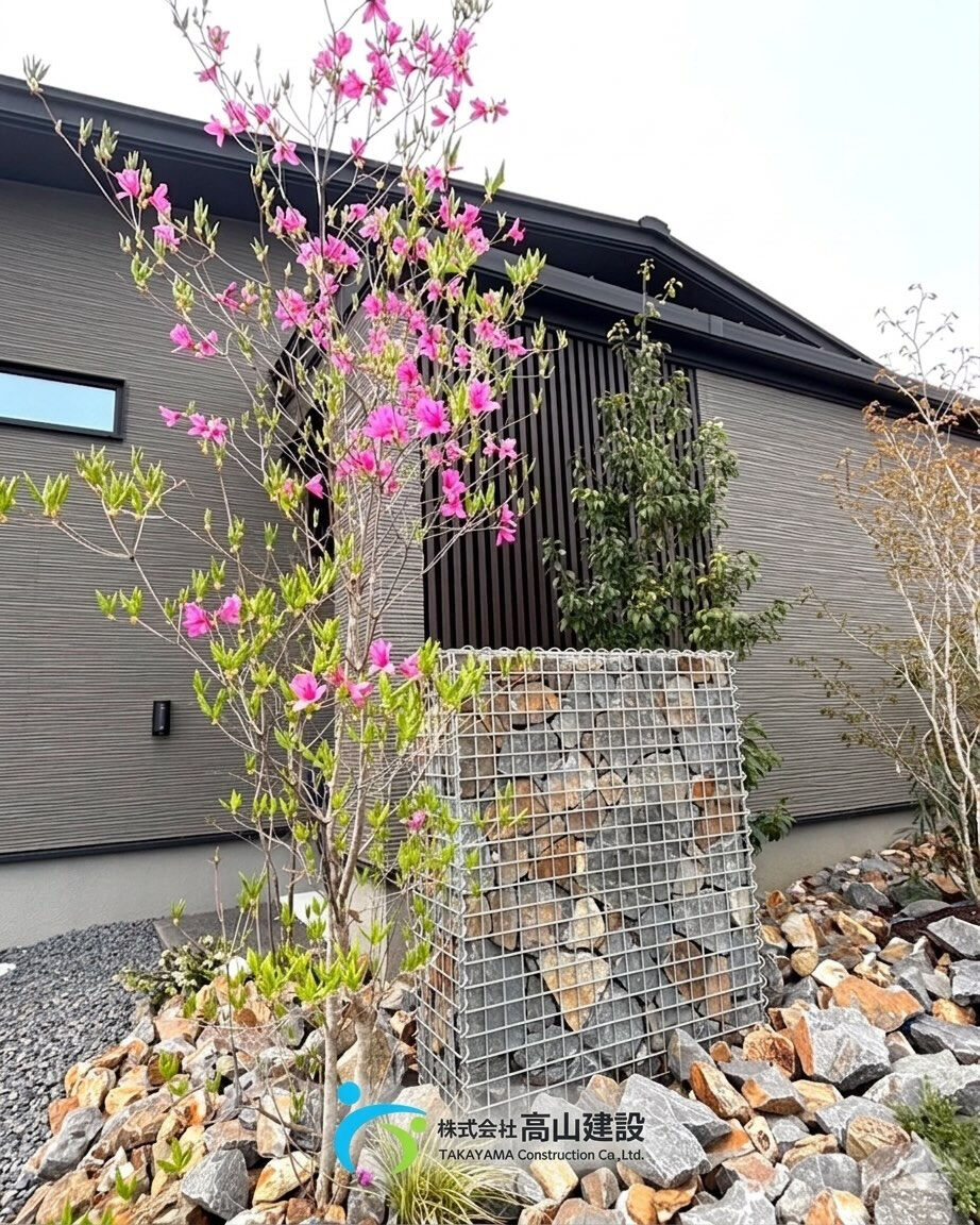春の彩りが住まいにやさしく寄り添う🌸